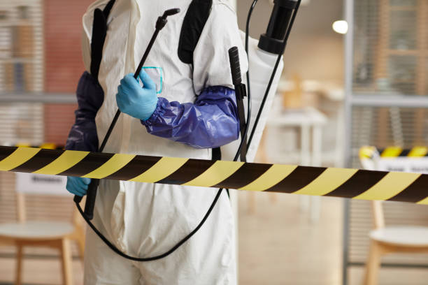 Professional Sewage Cleanup technician working in Portsmouth, NH